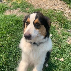 Meet your Posher, Morgan